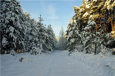 华为平板与问界新M7梦幻联动 智能座舱秒变会议室