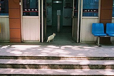 索尼PS直面会携10款游戏将于14日早上开播